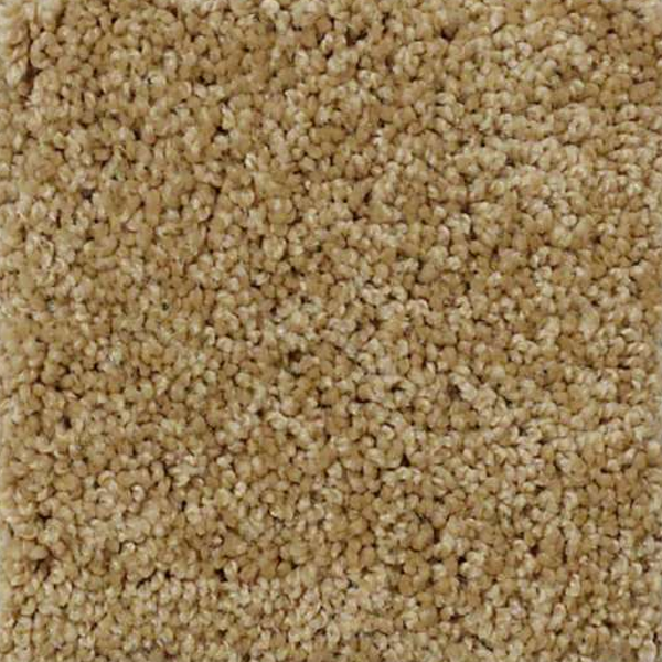 Shaw Floors Enduring Comfort III Honey Pot SHAW