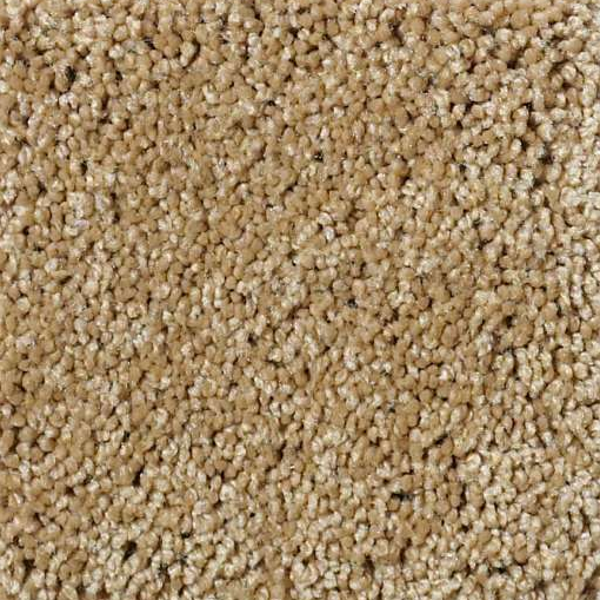 Shaw Floors My Choice II Honey Pot SHAW