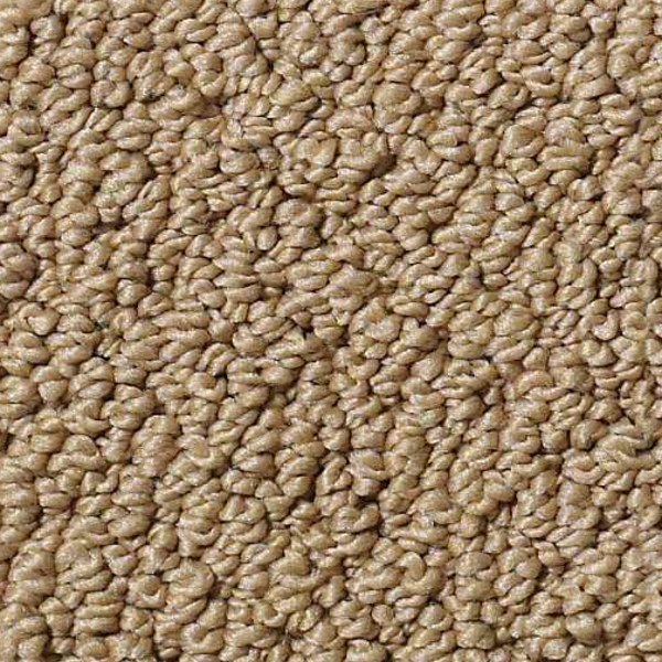 Shaw Floors Timeless Charm Loop Honey Pot SHAW