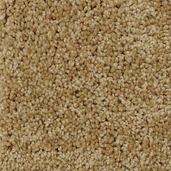 Shaw Floors My Choice I Honey Pot SHAW