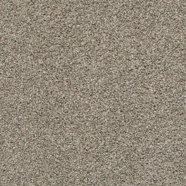 Shaw Floors Poised Studio Loft SHAW