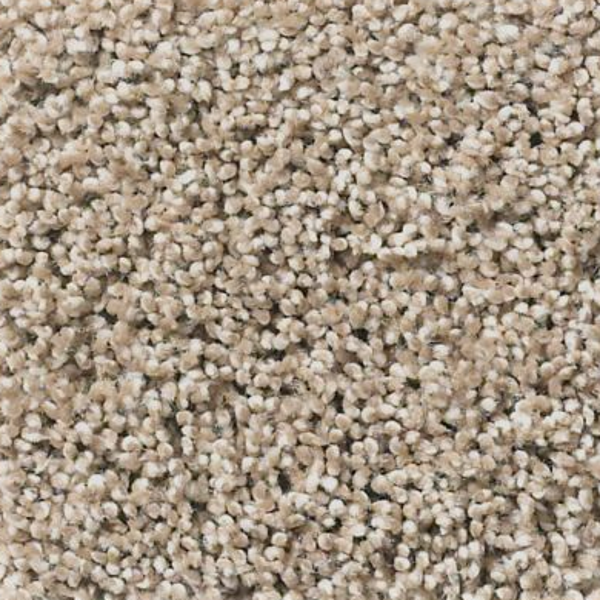 Tuftex Acadia Park Mushroom SHAW