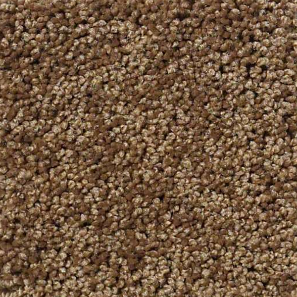 Shaw Floors Enduring Comfort II Cabin SHAW