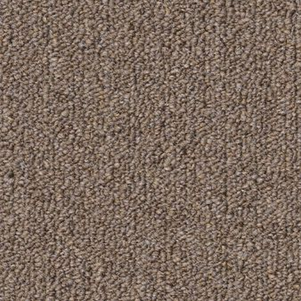 Philadelphia Commercial Profusion 26 Excess Shaw