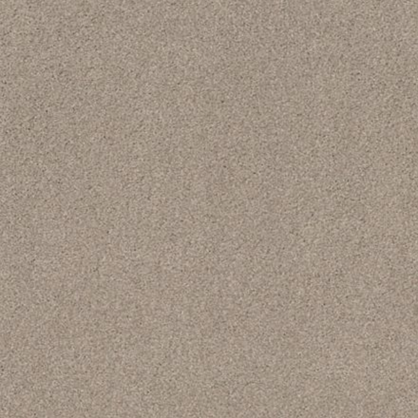 Tuftex Cozy Harbor I Sandstone SHAW