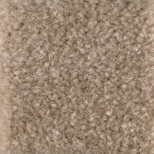 Shaw Floors Affirmed Thornwood SHAW