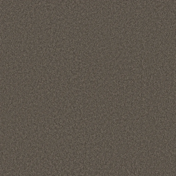 Shaw Floors Velvet Touch II Ashes SHAW