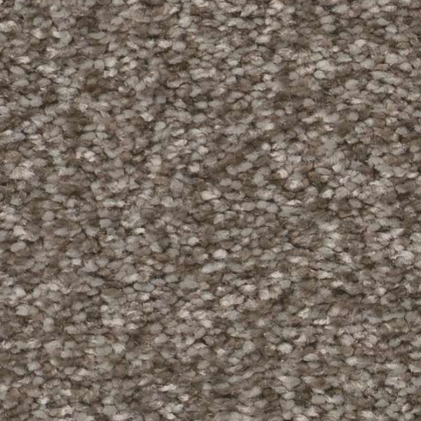 Shaw Floors You Got This II Cobblestone SHAW