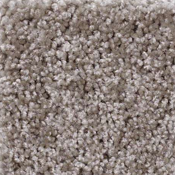 Shaw Floors Make It Yours (S) Driftwood SHAW