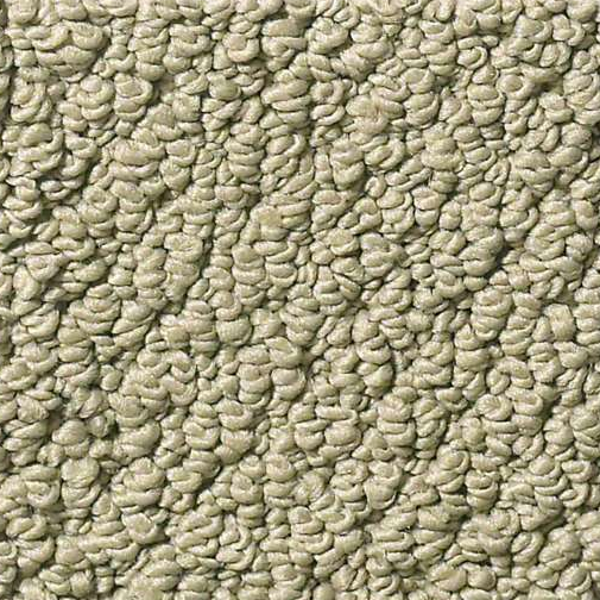 Shaw Floors Truly Relaxed Loop Rocky Coast SHAW