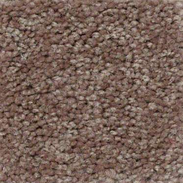 Shaw Floors Essay II 15' Moccasin SHAW