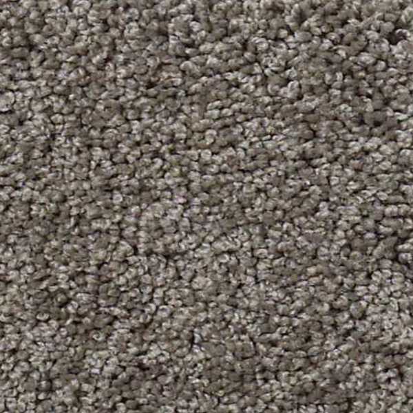 Shaw Floors My Choice I Rustic Elegance SHAW