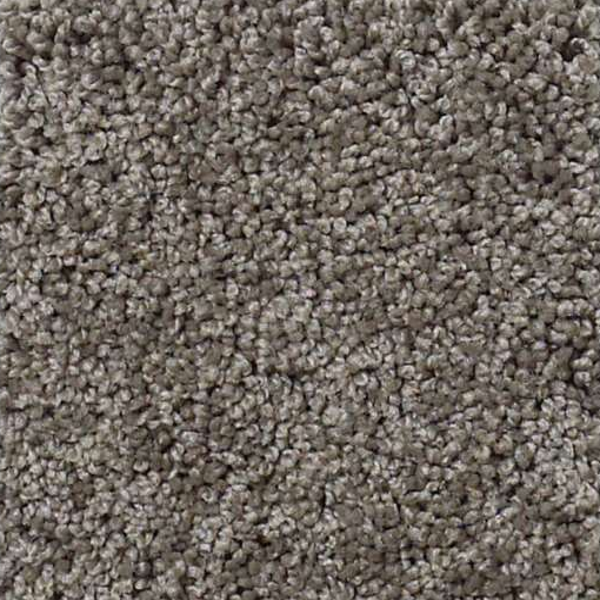 Shaw Floors My Choice II Rustic Elegance SHAW