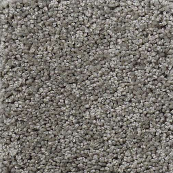 Shaw Floors My Choice III Fog SHAW