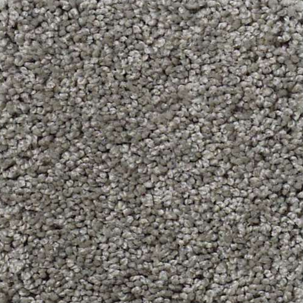 Shaw Floors My Choice II Fog SHAW