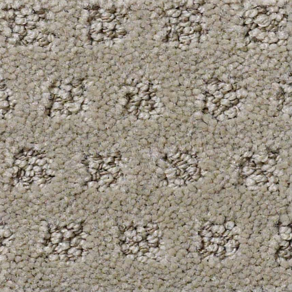 Tuftex My Expression Missoula SHAW