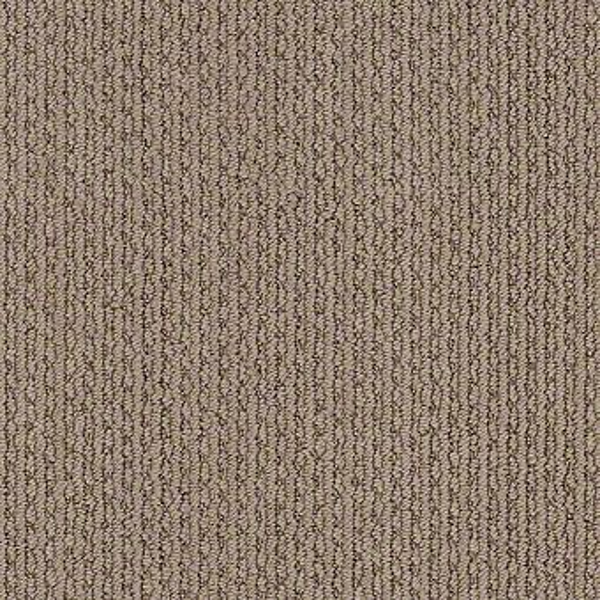 Tuftex Chapel Ridge Sable SHAW