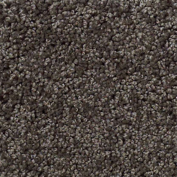 Shaw Floors My Choice III Vintage Leather SHAW