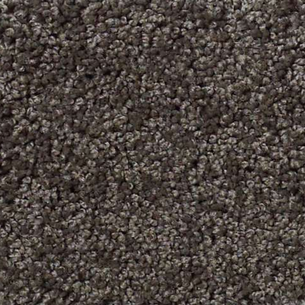 Shaw Floors My Choice I Vintage Leather SHAW