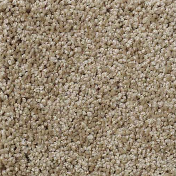 Shaw Floors My Choice III Cappuccino SHAW