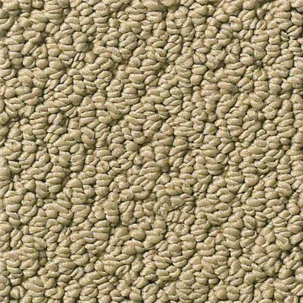 Shaw Floors Truly Relaxed Loop Cappuccino SHAW