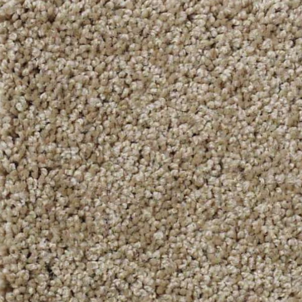 Shaw Floors My Choice II Cappuccino SHAW