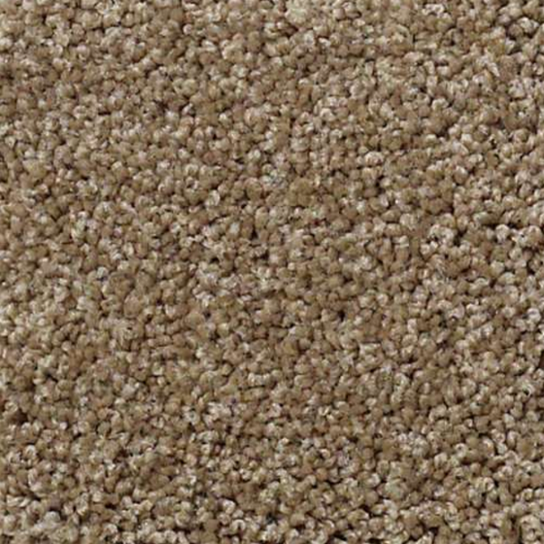 Shaw Floors My Choice III Saffron SHAW