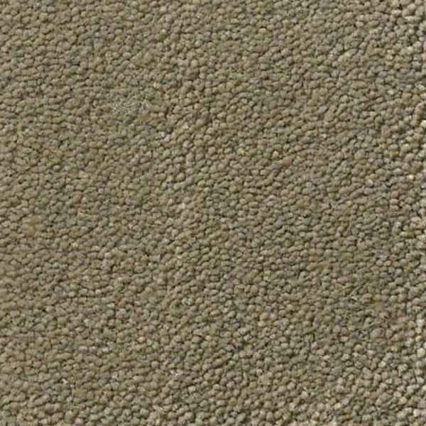 Tuftex Perfect Choice Sleek Suede SHAW