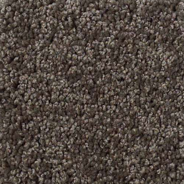 Shaw Floors My Choice II Chocolate SHAW