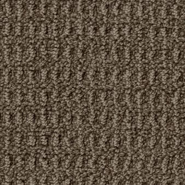 Tuftex Portofino Shitake SHAW