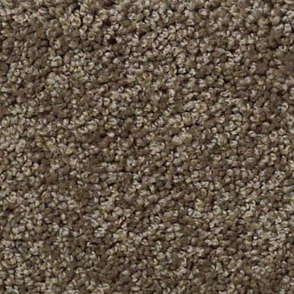 Shaw Floors My Choice I Weathered Wood SHAW