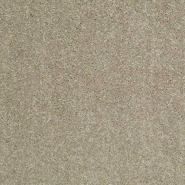 Shaw Floors Newbern Classic 15 Fossil SHAW