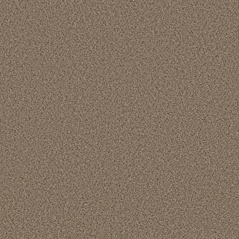 Shaw Floors Abilene I Arrowhead SHAW