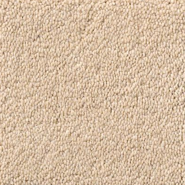 Tuftex Perfect Choice Cocoa Sand SHAW