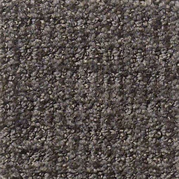 Shaw Floors Sensible Now Iron Gate SHAW