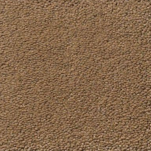 Tuftex Perfect Choice Mystic Brown SHAW