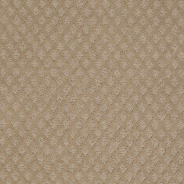 Shaw Floors Entwined With You Biscotti SHAW