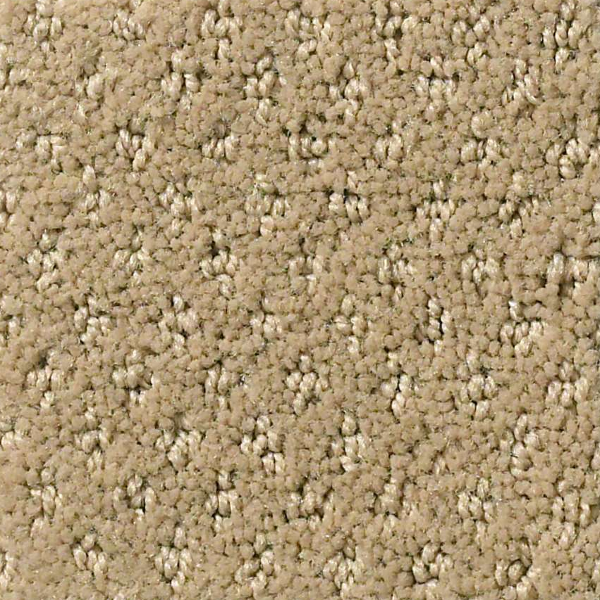 Shaw Floors Infallible Instinct Biscotti SHAW