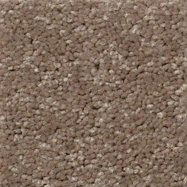 Shaw Floors Essay II 15' Owl SHAW