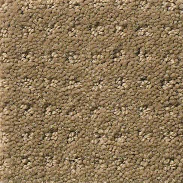 Shaw Floors Perpetual Move Grounded SHAW