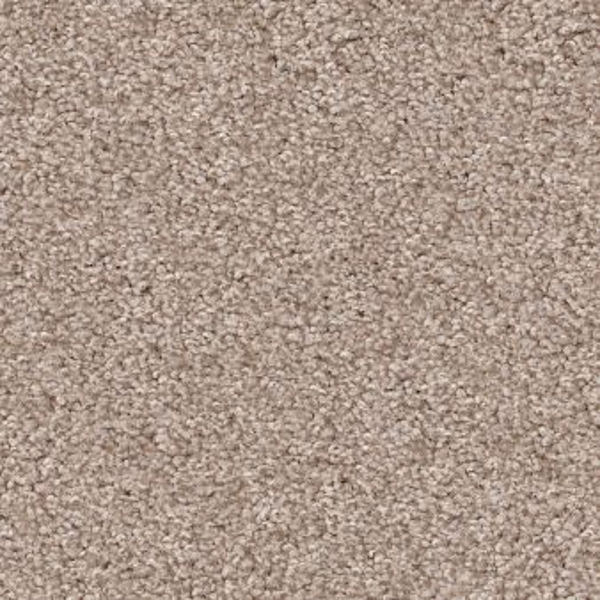 Shaw Floors Harmonious III Heirloom SHAW