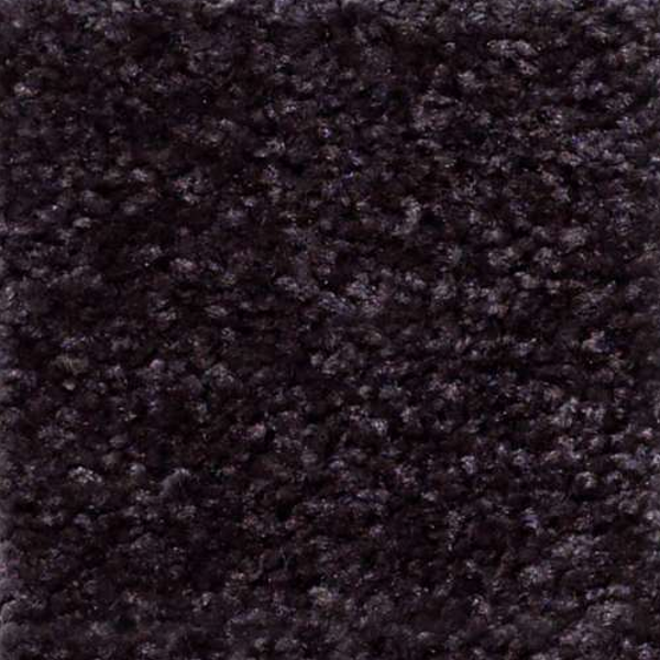 Shaw Floors Jet Set Plum SHAW