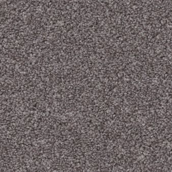 Shaw Floors Harmonious III Deep Connection SHAW