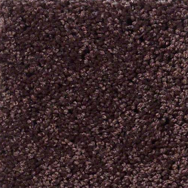 Shaw Floors Enduring Comfort III Plum Delight SHAW