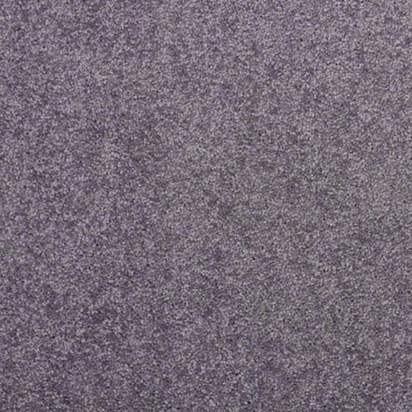 Shaw Floors Newbern Classic 15 Violet Crush SHAW