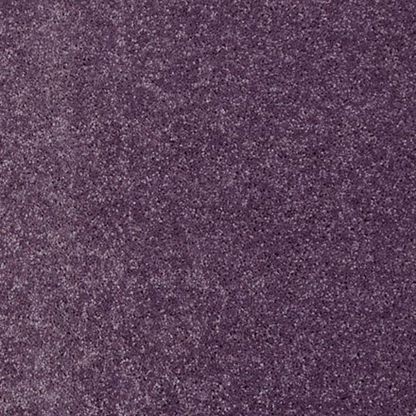 Shaw Floors Dalton 40 12 Violet Crush SHAW