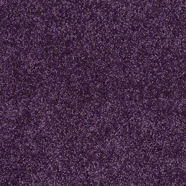 Shaw Floors Briceville Classic 12' Grape Slushy SHAW