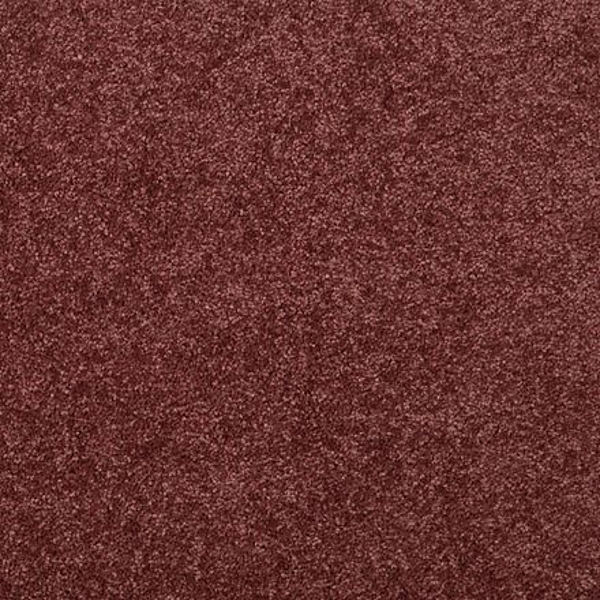Shaw Floors Dalton 30 12' Radiant Orchid SHAW