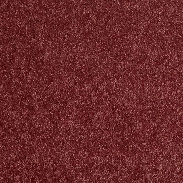 Shaw Floors Dalton 40 12 Radiant Orchid SHAW