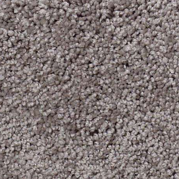 Shaw Floors My Choice II Sepia SHAW